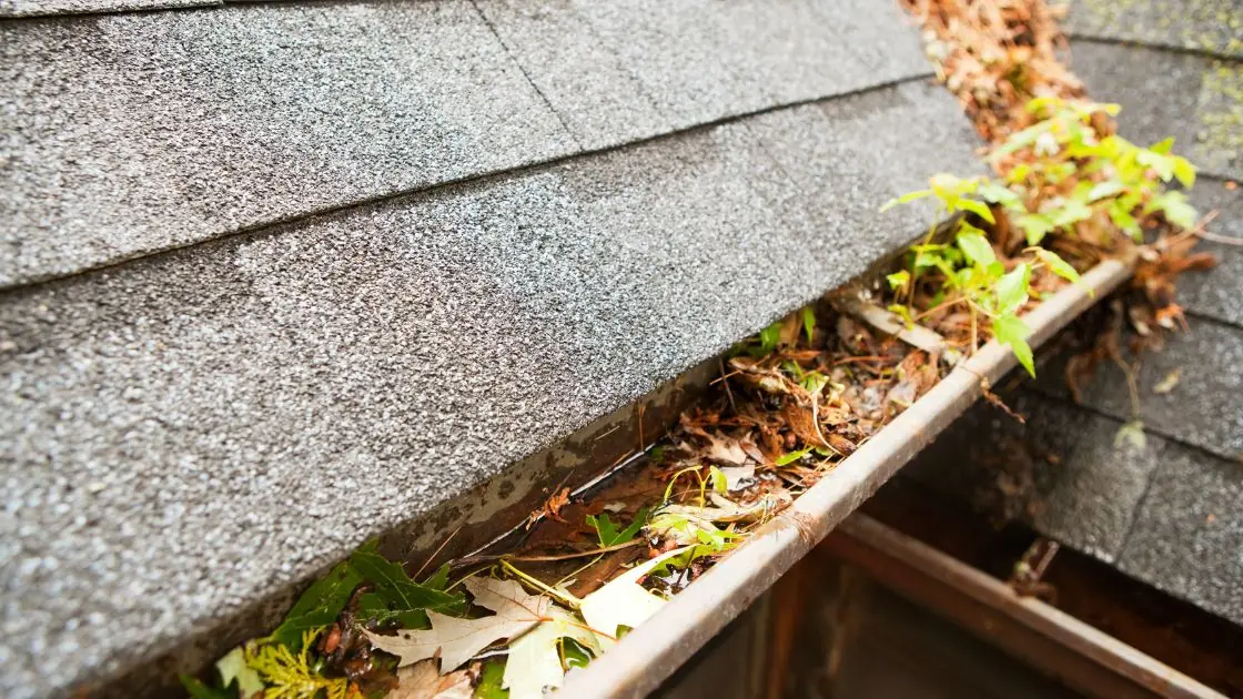 Fall Property Maintenance Checklist for Akron and Cleveland Property Owners